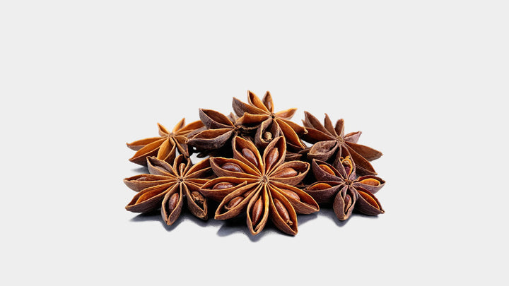 Yıldız Anason (Illicium verum)