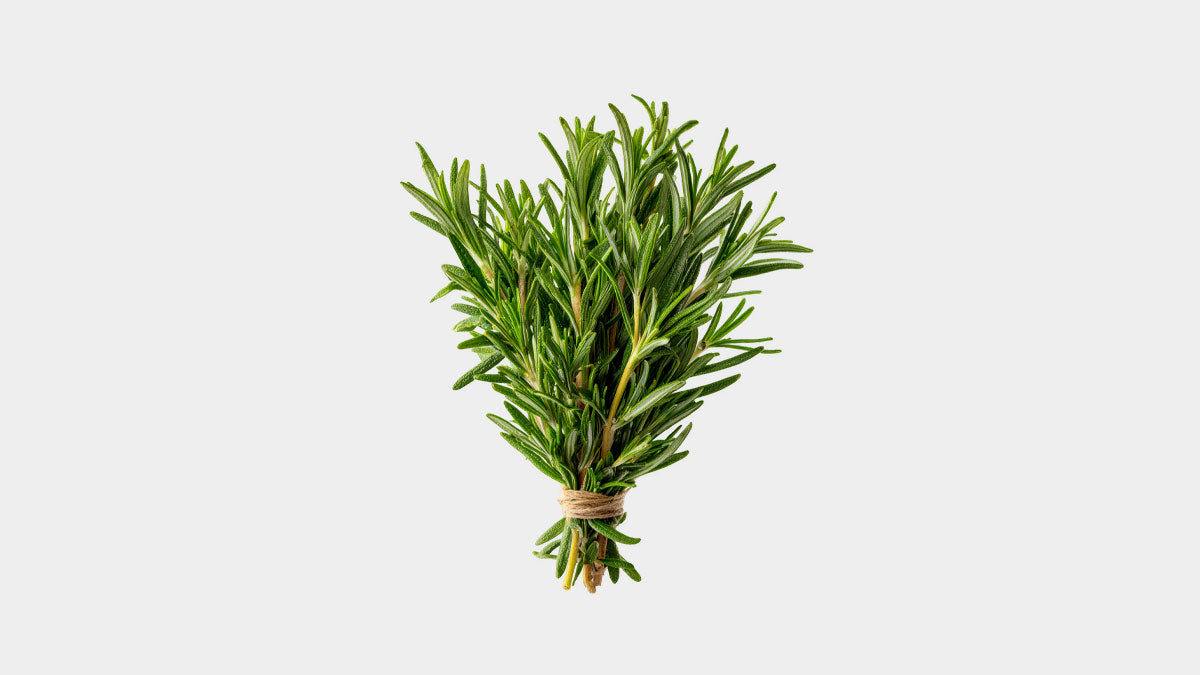 Zahter (Thymbra Spicata) Nedir? Faydaları, Kullanım Alanları ve Özellikleri