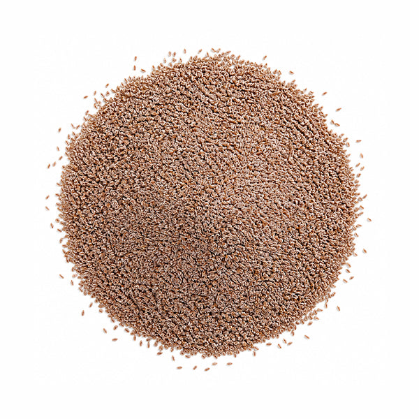 Karnıyarık Otu (Plantago psyllium) Tohumu Tozu