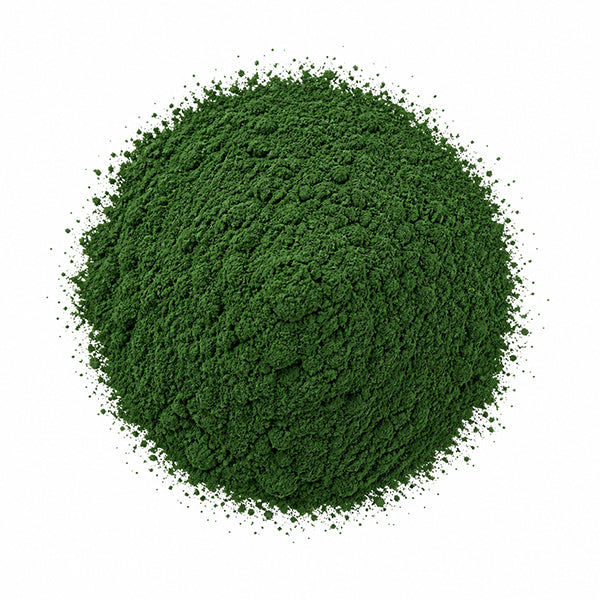 Spirulina Ekstresi